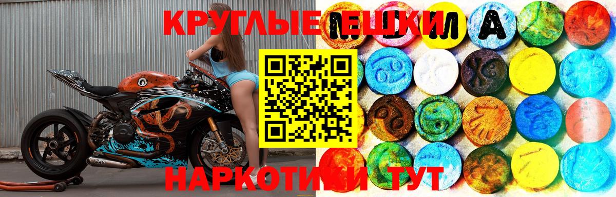 ЭКСТАЗИ Philipp Plein  ЭКСТАЗИ  Вход с VPN  Лобня  Экстази ешки 