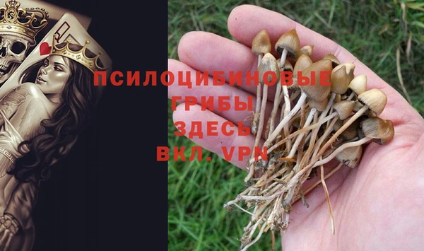 прущий лед Майский