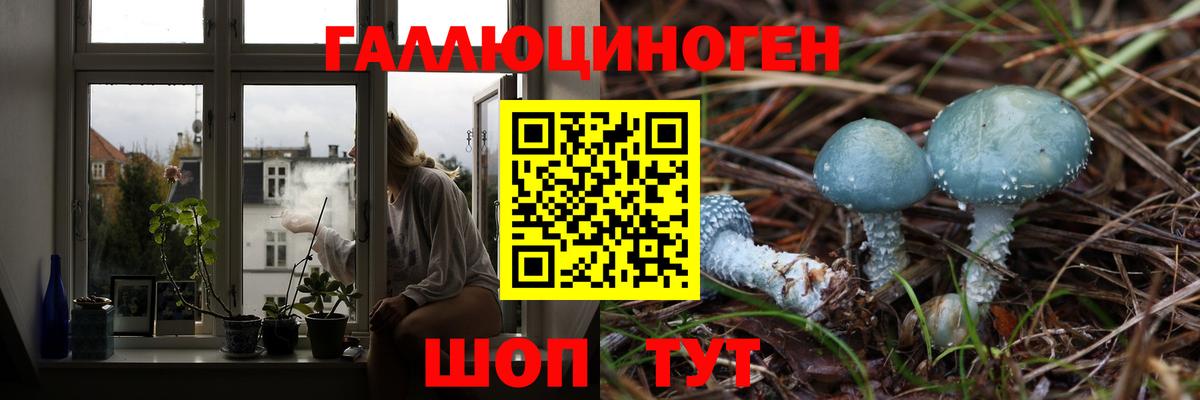 Лобня  где найти   Вход с VPN  Галлюциногенные грибы ЛСД 