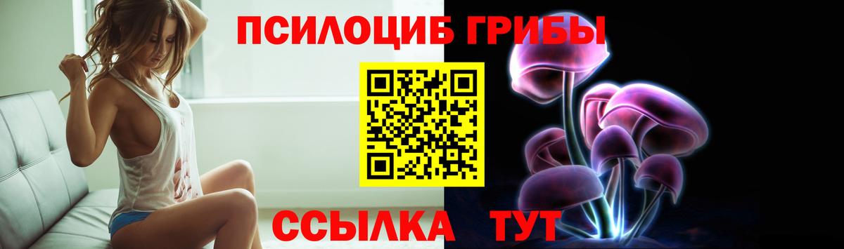 Галлюциногенные грибы Cubensis Лобня